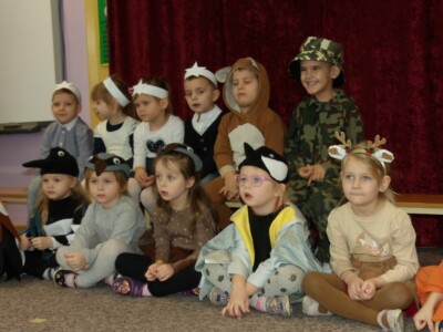 KODAK DIGITAL STILL CAMERA